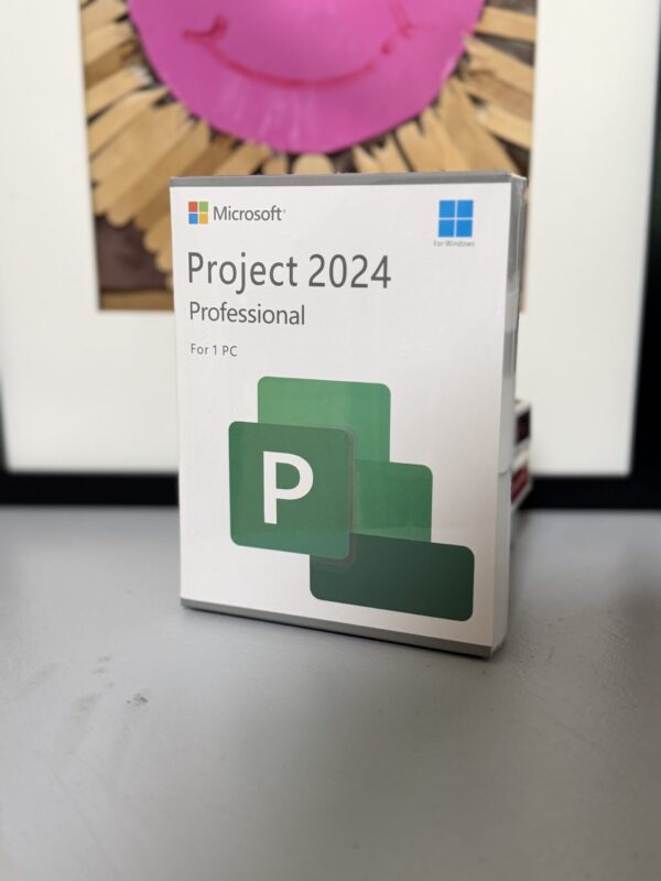 Project Professional 2024