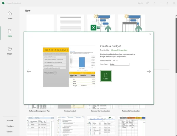 Project Professional 2024