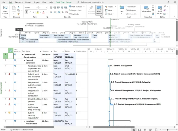Project Professional 2024
